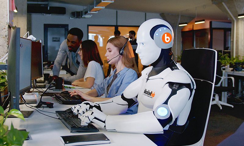 Official Non-Apology from BlackBeltHelp